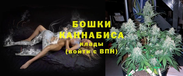 спайс Надым