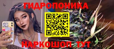 ECSTASY Краснодар