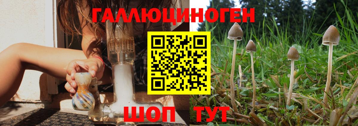 Конопля  25-NBOMe  А ПВП  Петровск  Конопля  МЕФ  ГАШИШ  Вход с VPN  Диски 