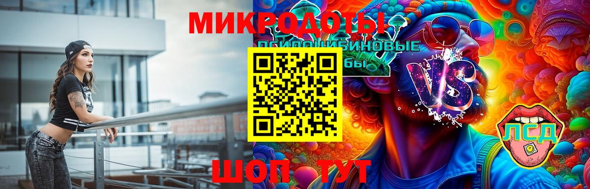 цена   Петровск  Псилоцибиновые грибы прущие грибы 